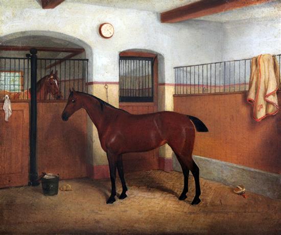 Edwin Frederick Holt (1864-1897) Racehorse in a stable, 20 x 24in., unframed